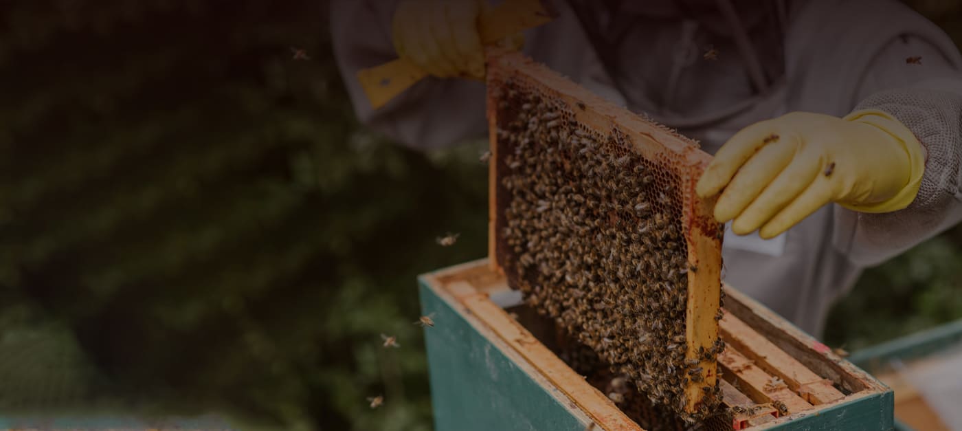 Natural Honey &Beekeeping